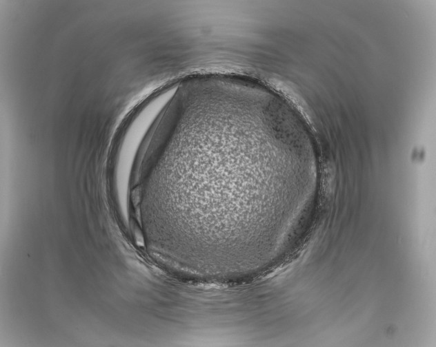 X0000090760395200708101752