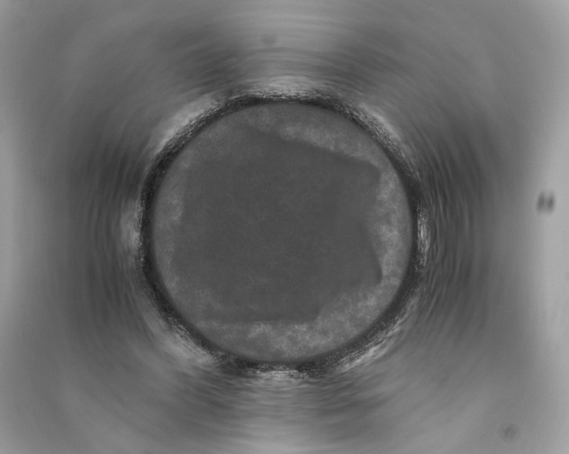 X0000090760396200708101752