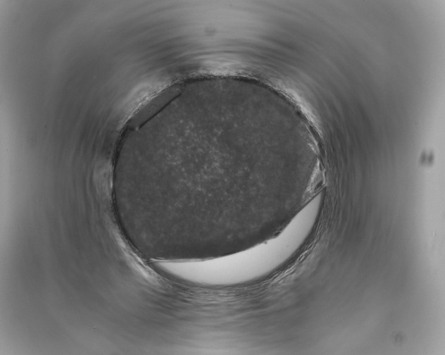 X0000090760397200708101752