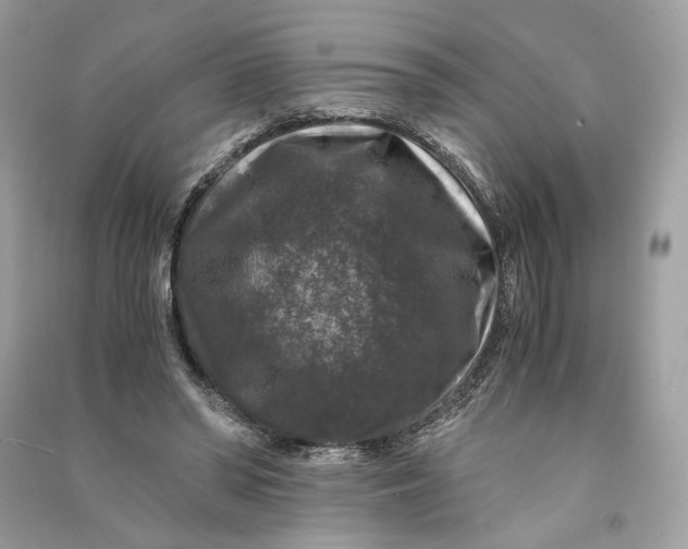 X0000090760398200708101752