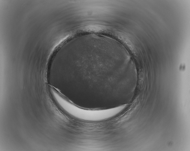 X0000090760399200708101752