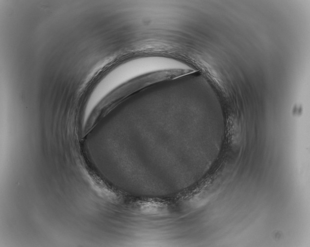 X0000090760400200708101752