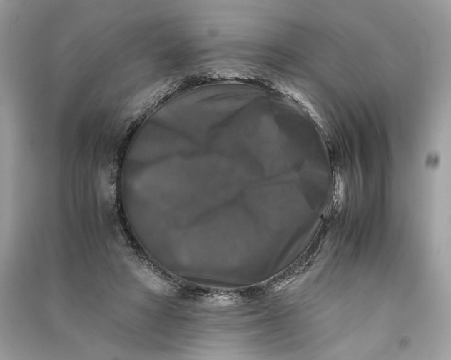 X0000090760402200708101752