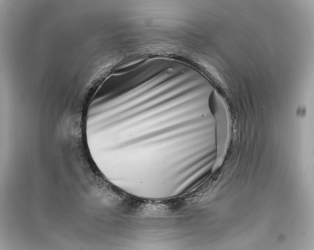 X0000090760403200708101752