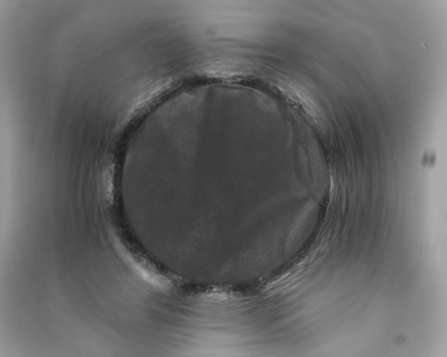 X0000090760404200708101752