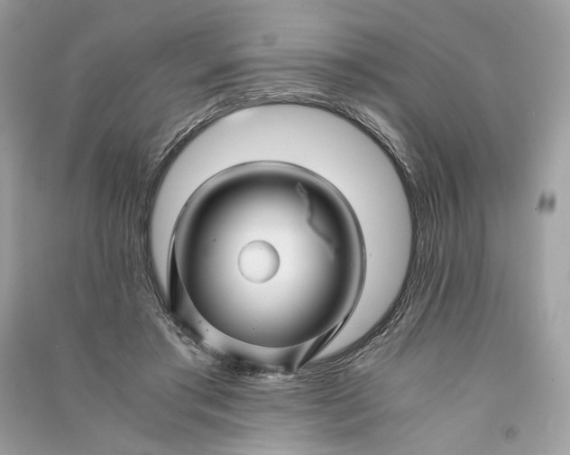 X0000090760405200708101752