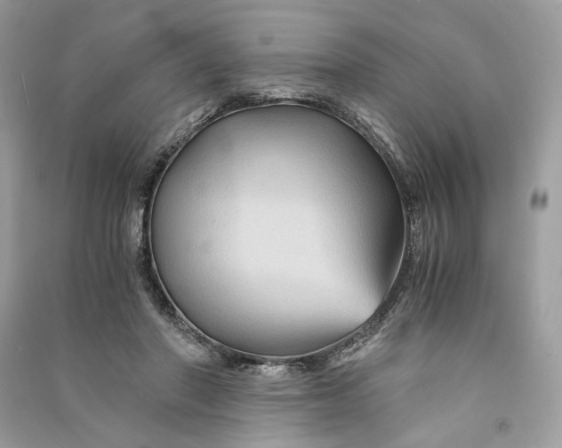 X0000090760406200708101752