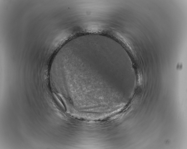 X0000090760407200708101752