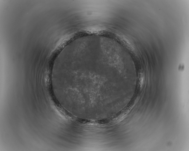 X0000090760408200708101752