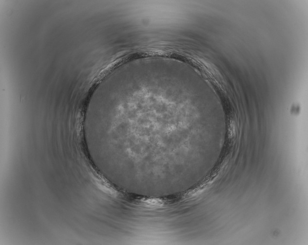 X0000090760409200708101752