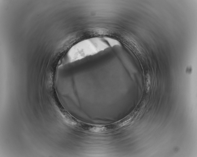 X0000090760410200708101752