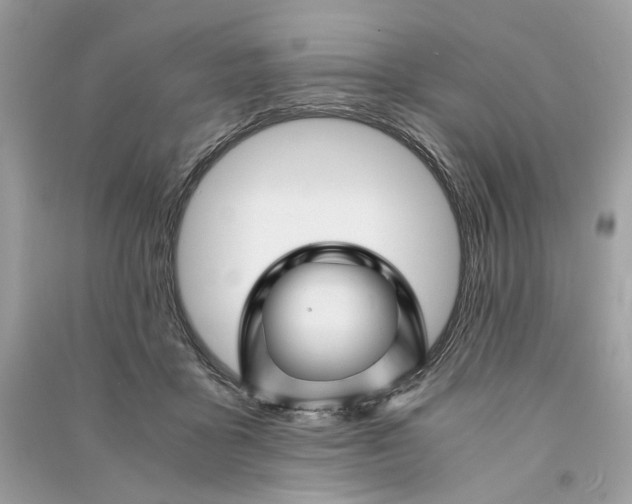 X0000090760411200708101752