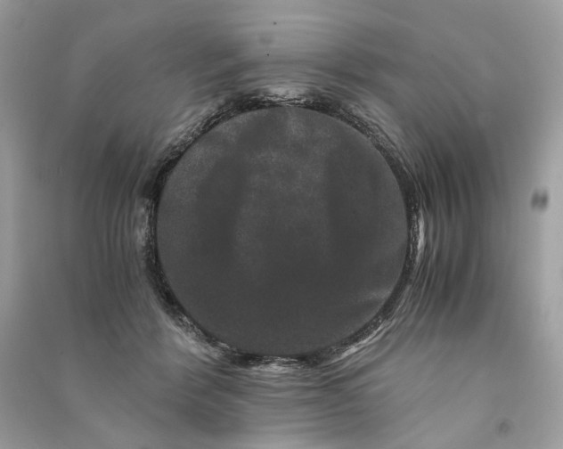 X0000090760412200708101752