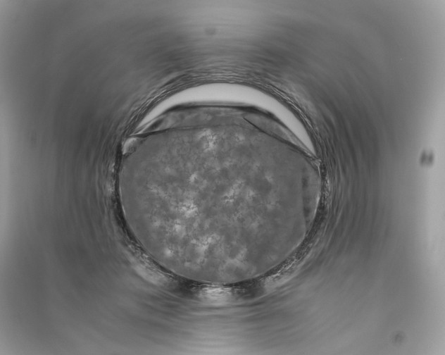 X0000090760413200708101752