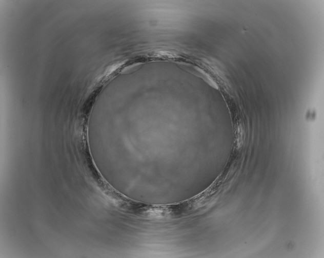 X0000090760415200708101752