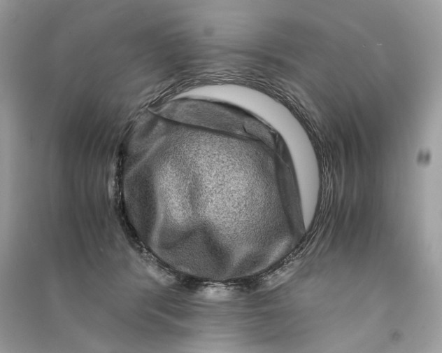 X0000090760416200708101752