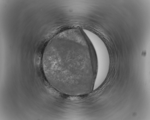 X0000090760417200708101752