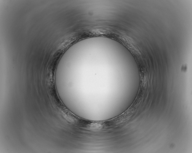 X0000090760418200708101752