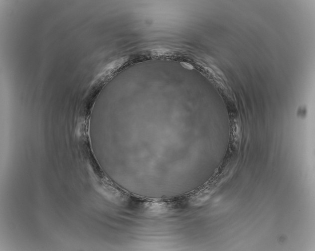 X0000090760419200708101752