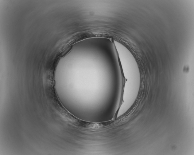 X0000090760421200708101752