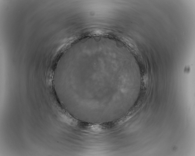 X0000090760423200708101752