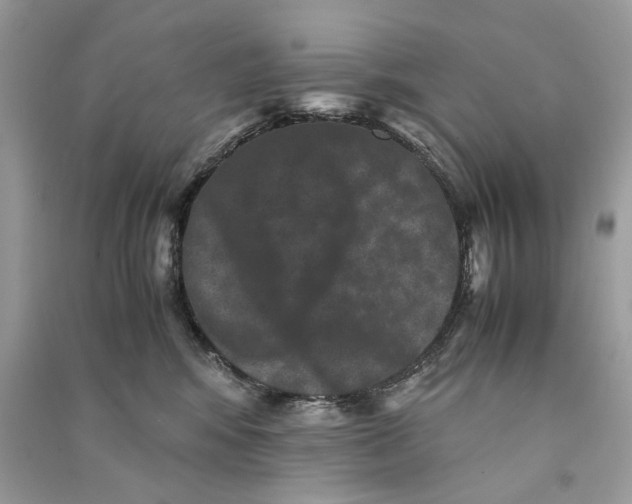 X0000090760424200708101752