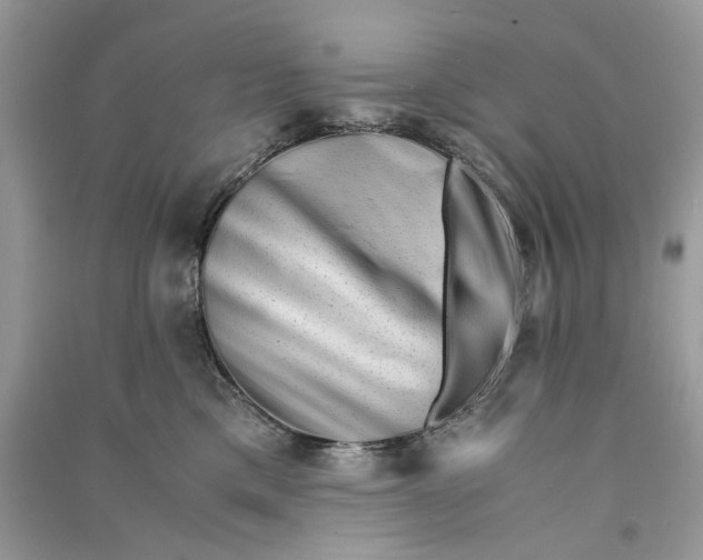 X0000090760425200708101752