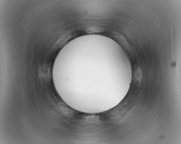 X0000090760426200708101752