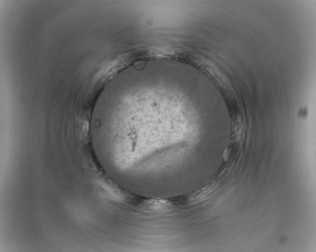 X0000090760427200708101752