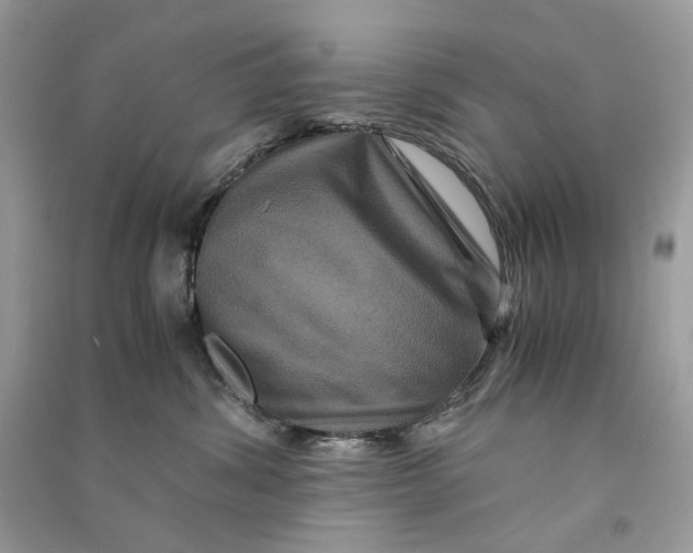 X0000090760428200708101752