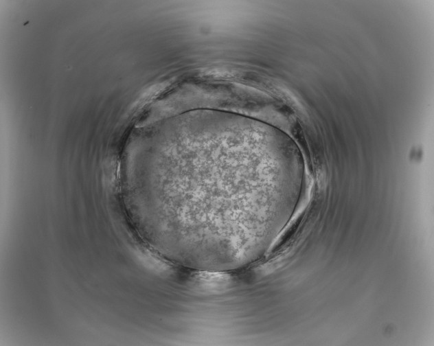 X0000090760429200708101752