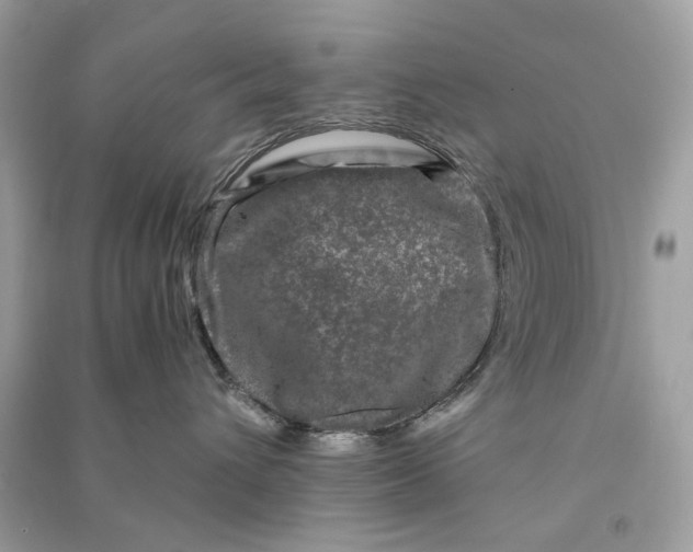 X0000090760432200708101752