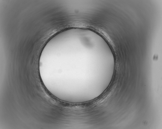 X0000090760433200708101751