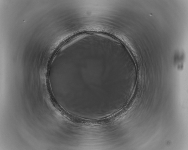 X0000090760434200708101751