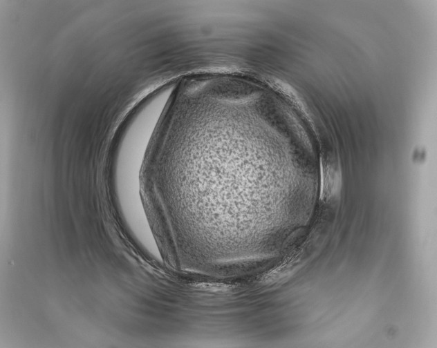 X0000090760435200708101751