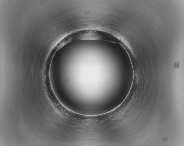 X0000090760436200708101751