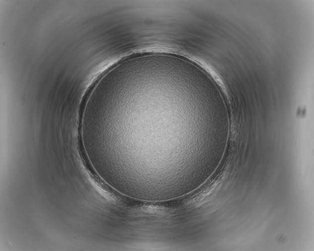 X0000090760437200708101751