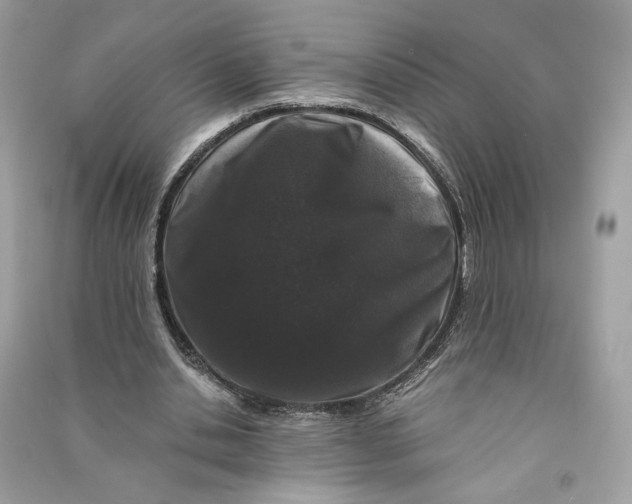 X0000090760438200708101751