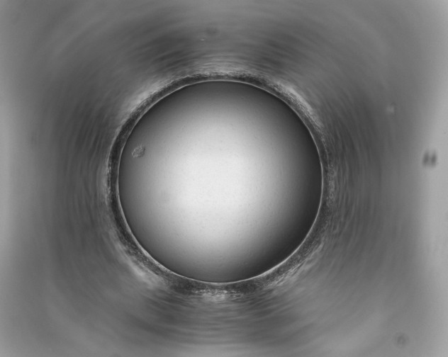 X0000090760439200708101751