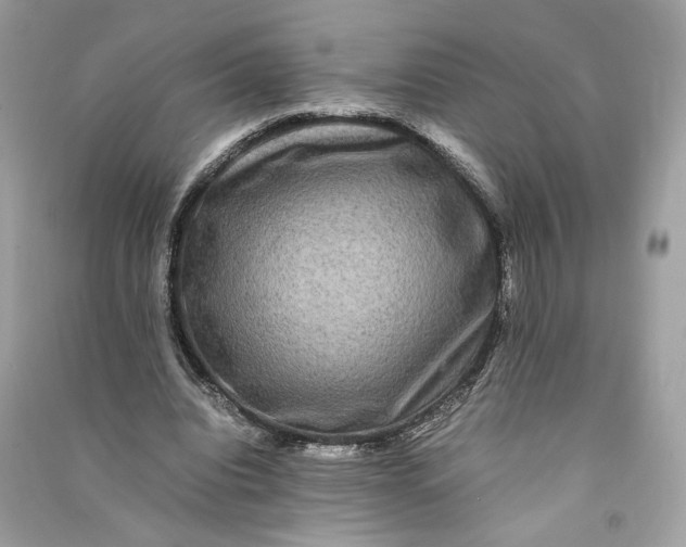 X0000090760440200708101751