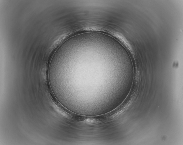 X0000090760441200708101751