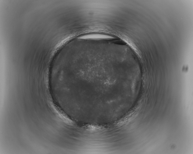 X0000090760442200708101751