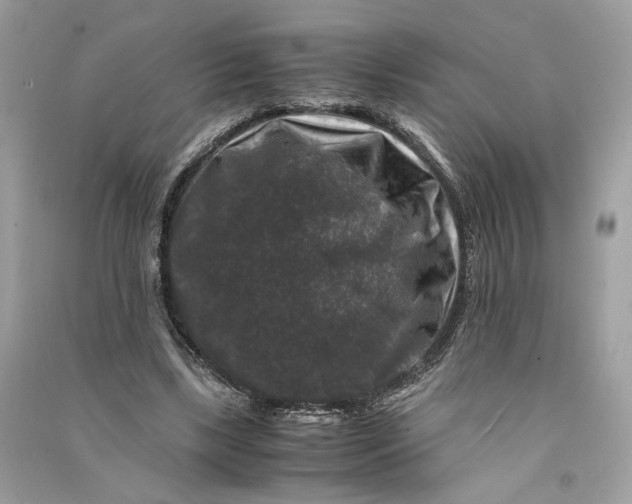 X0000090760443200708101751