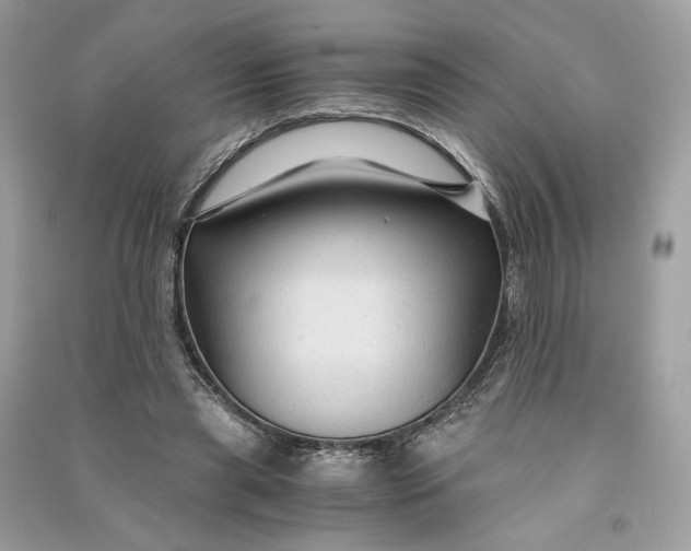 X0000090760445200708101751