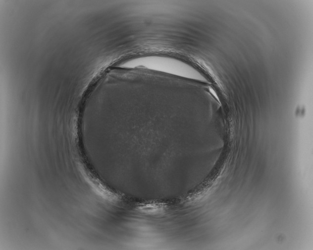 X0000090760447200708101751