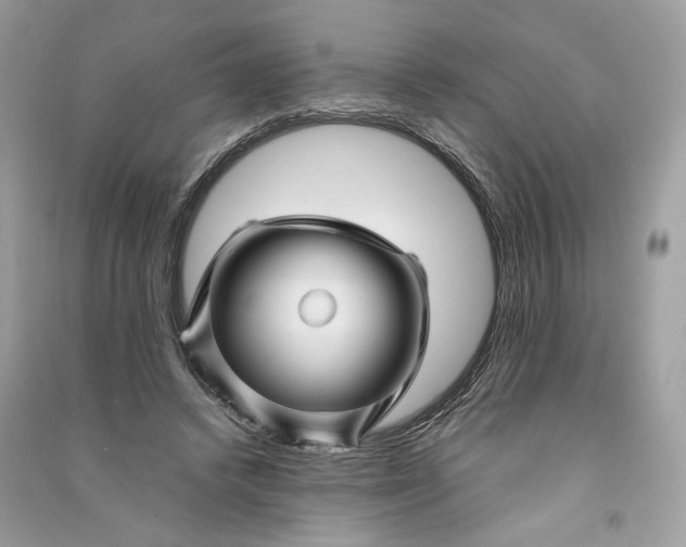 X0000090760448200708101751