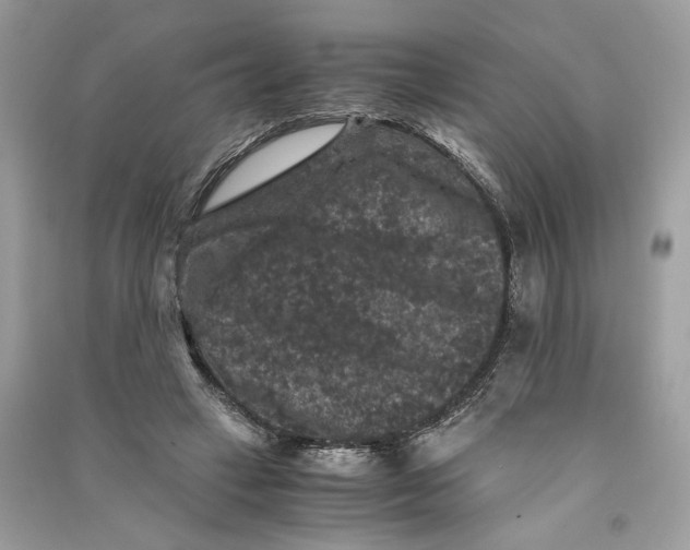 X0000090760449200708101751