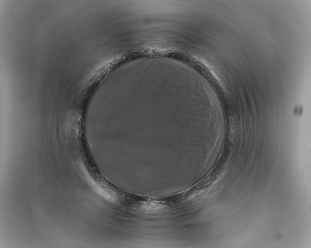 X0000090760451200708101751