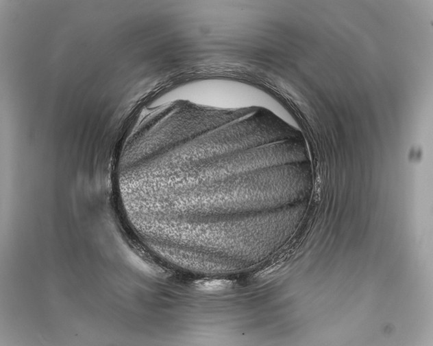 X0000090760452200708101751