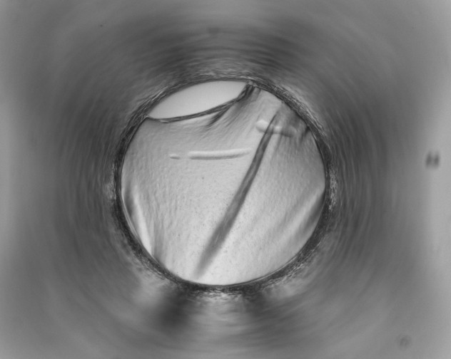 X0000090760453200708101751